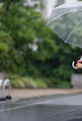 (دونغيون يومي) سجلات مراقبة الحياة الخاصة مليئة بالمعلومات الجيدة، وكلها يمكن رؤيتها (33P)