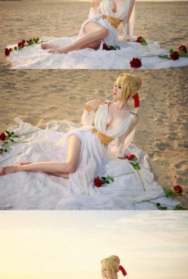 القدر/الأمر الكبير Nero Claudius Nightgown@大丽子是不祷(8P)