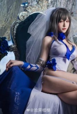 مشاركة صور “Azur Lane” لويس التاسع بأزياء Paladin cos (CN: Cangji Platycodon) (16P)