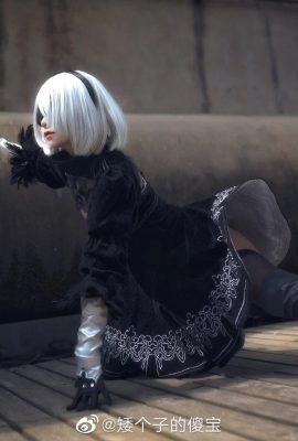 NieR: أوتوماتا 2B @小小少宝(9P)